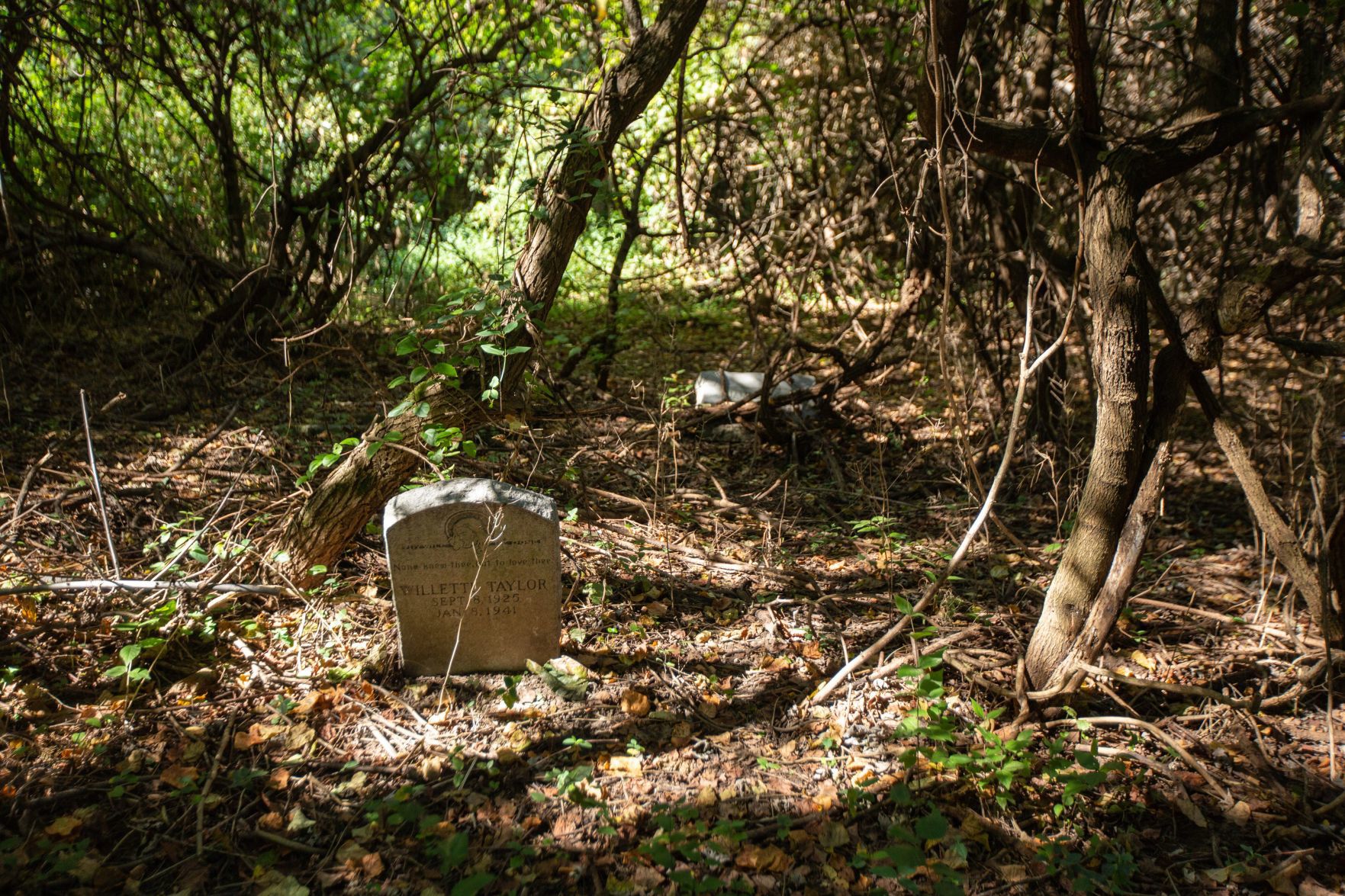 Washington Park Cemetery